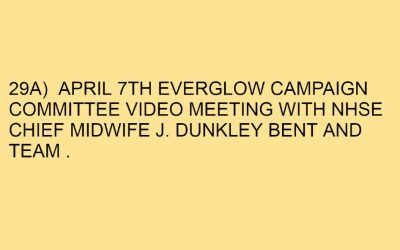 29A) APRIL 7TH EVERGLOW CAMPAIGN COMMITTEE VIDEO MEETING WITH NHSE CHIEF MIDWIFE J. DUNKLEY BENT AND TEAM