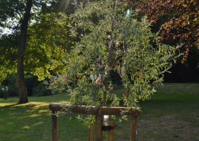 Becky's Tree Funday 1st July 2018