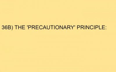 36B) THE ‘PRECAUTIONARY’ PRINCIPLE: