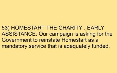 53) HOMESTART THE CHARITY : EARLY ASSISTANCE: Our campaign is asking for the Government to reinstate Homestart as a mandatory service that is adequately funded.